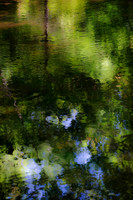 Water reflections