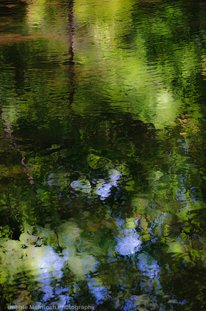 Water reflections