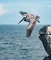 Take Off