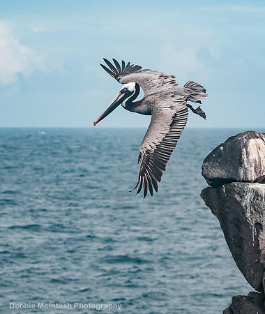 Take Off