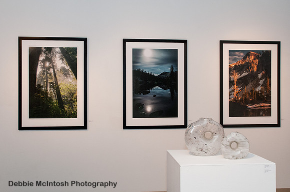 Gallery 3