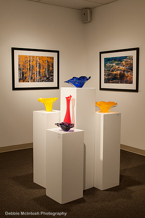 Gallery 5